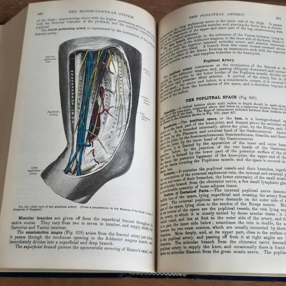Bounty Books Gray's Anatomy Classic Collector's Edition Blue Hardcover 1977 Book